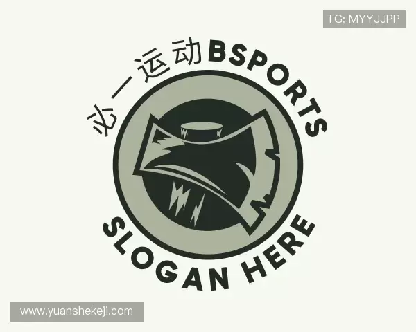认识bsports必一